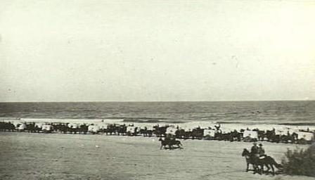 Mağdaba Muharebesi'nin ardından yaralıları taşıyan deve konvoyu, 1916