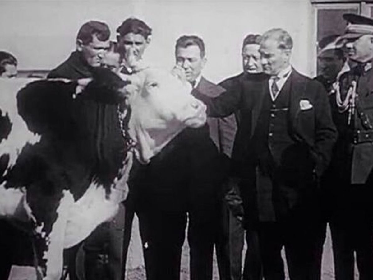 Atatürk Orman Çiftliği
