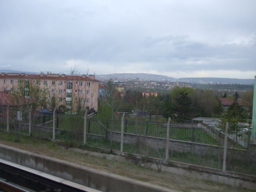 Atatürk Orman Çiftliği'nde bir yol, 2011