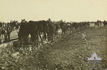 12. Avustralya Hafif Süvari Alayı Birüssebi'de, 1917