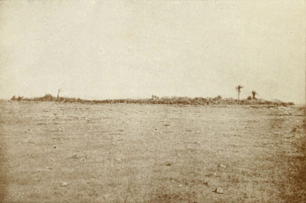 Bingazi yakınındaki İki Hurma vahası, 1912