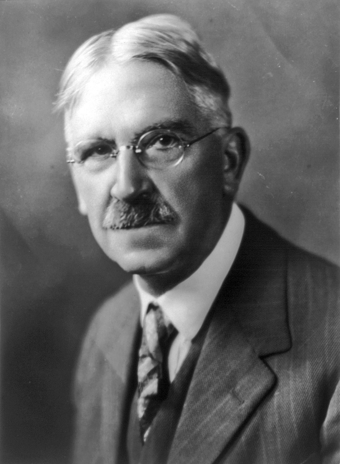 John Dewey'in bir portresi