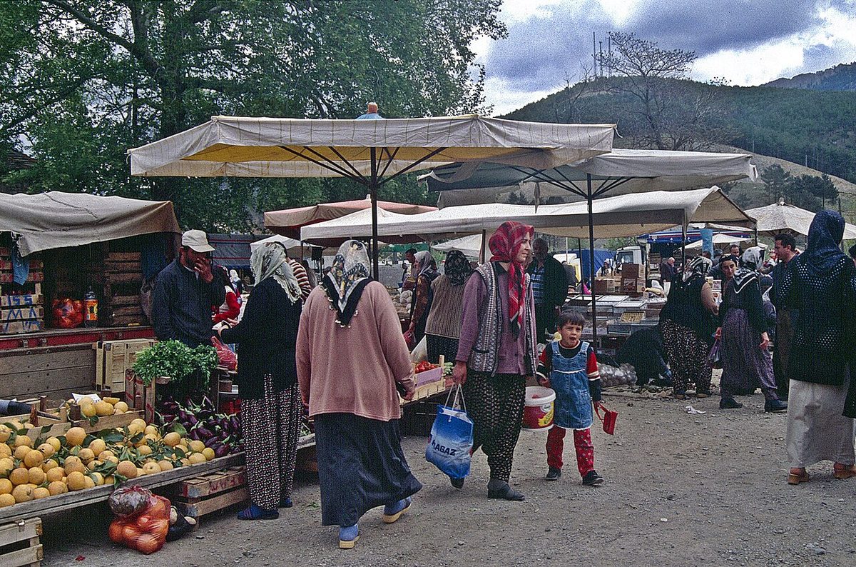 Pozantı çevresi, Toroslar