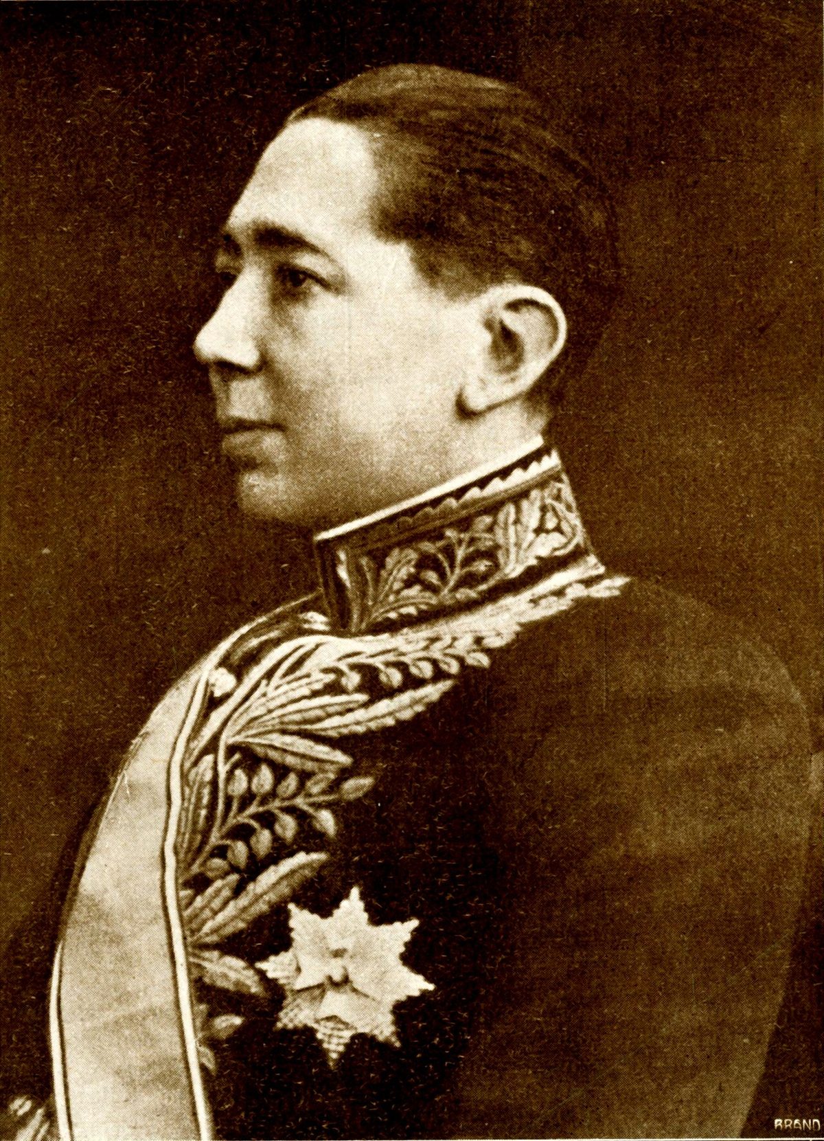 Nicolae Titulescu'nun bir başka portresi