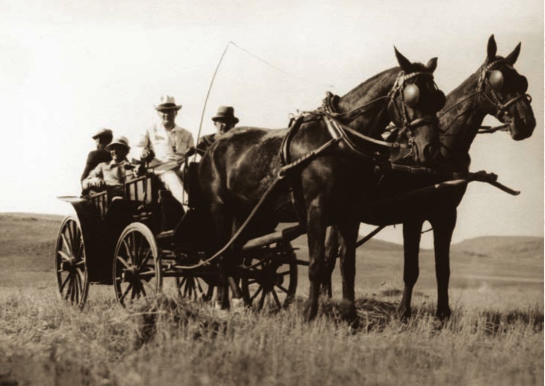 Ankara Orman Çiftliği, 14 Temmuz 1929