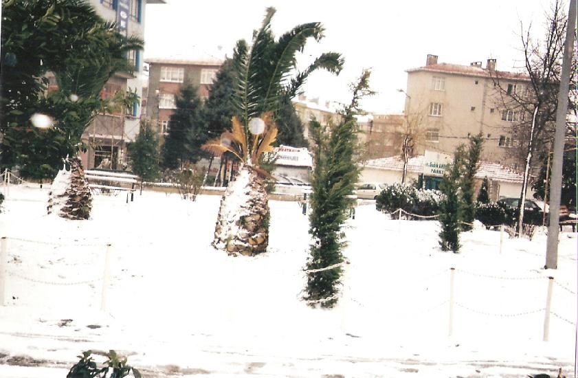 Osmaniye görünümü