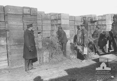 Suvla tahliyesinden önce yakılmak üzere hazırlanan İngiliz malzemesi, 1915