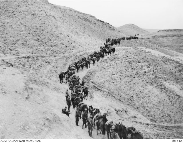 Avustralya 1. Hafif Süvari Tugayı Yahuda tepelerinden Eriha'ya inerken, Şubat 1918