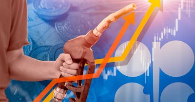 El Financiero haber görseli