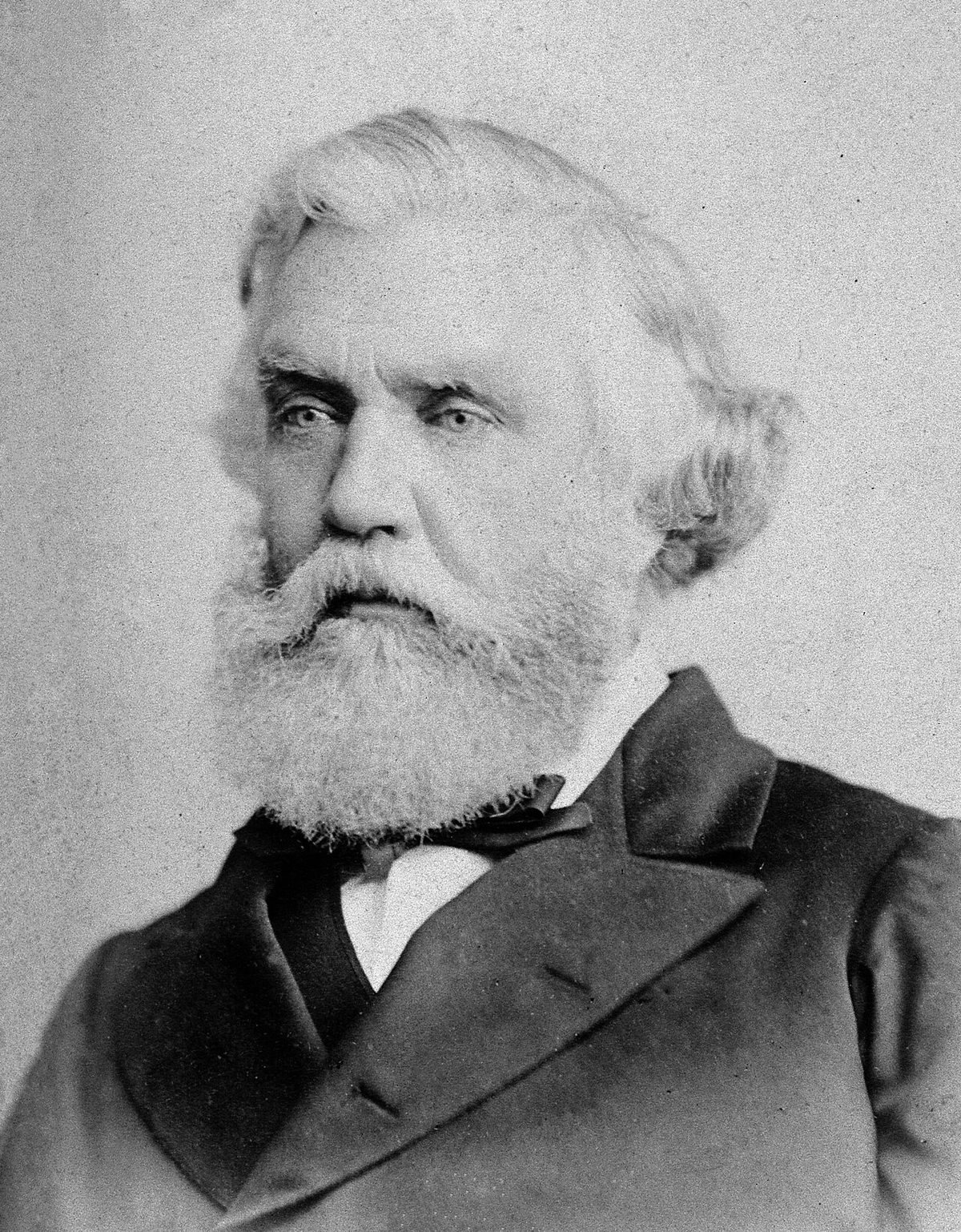 İngiliz arkeolog ve diplomat Austen Henry Layard'ın portresi