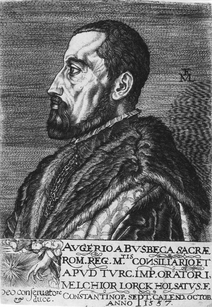Habsburg elçisi Ogier Ghiselin de Busbecq'in portresi