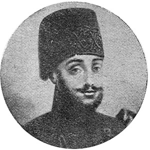 Mehmed Nâmık Paşa