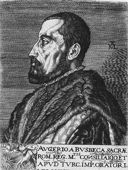 Ogier Ghislain de Busbecq