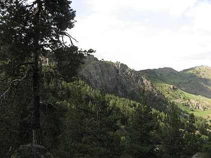 Oltu