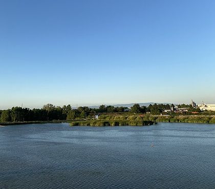 Sakarya Nehri